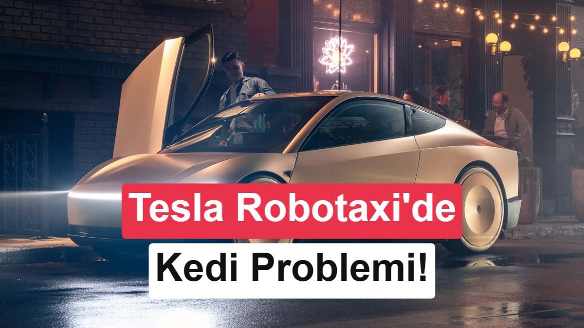 Elon Musk'tan Robotaksi İtirafı: Karanlıkta Düşük Kontrastlı Nesneleri Görmek Neden Zor? 3 Elon Musk'tan Robotaksi İtirafı: Karanlıkta Düşük Kontrastlı Nesneleri Görmek Neden Zor? görsel 1